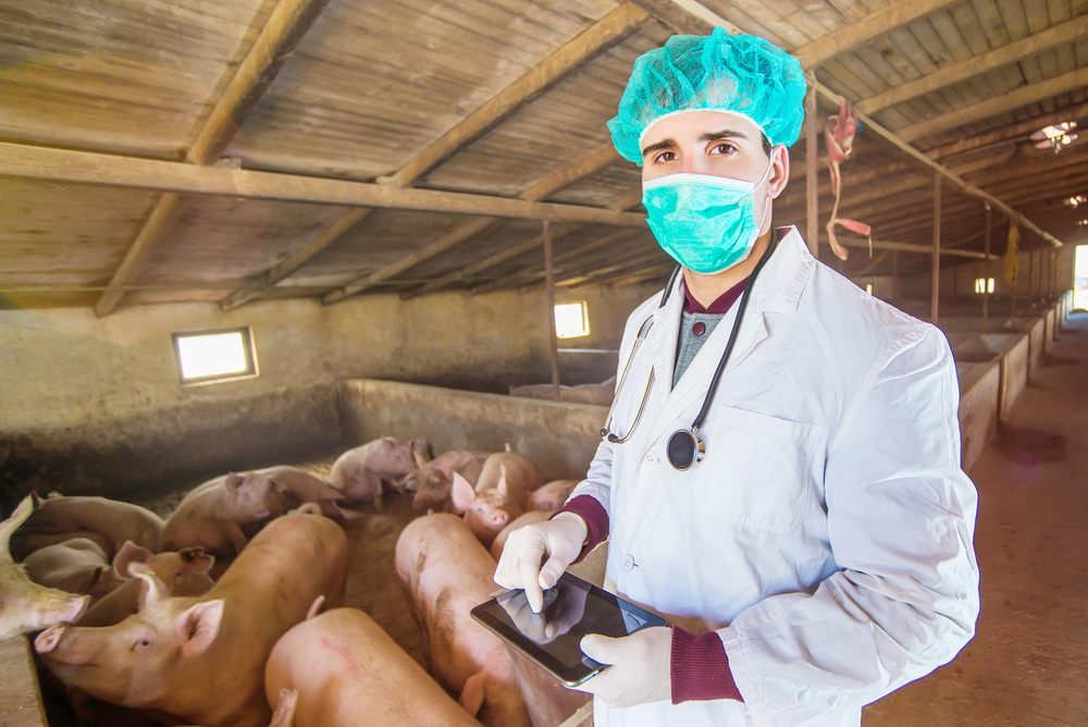 How to Become a Laboratory Animal Veterinarian How to Become a Laboratory Animal Veterinarian